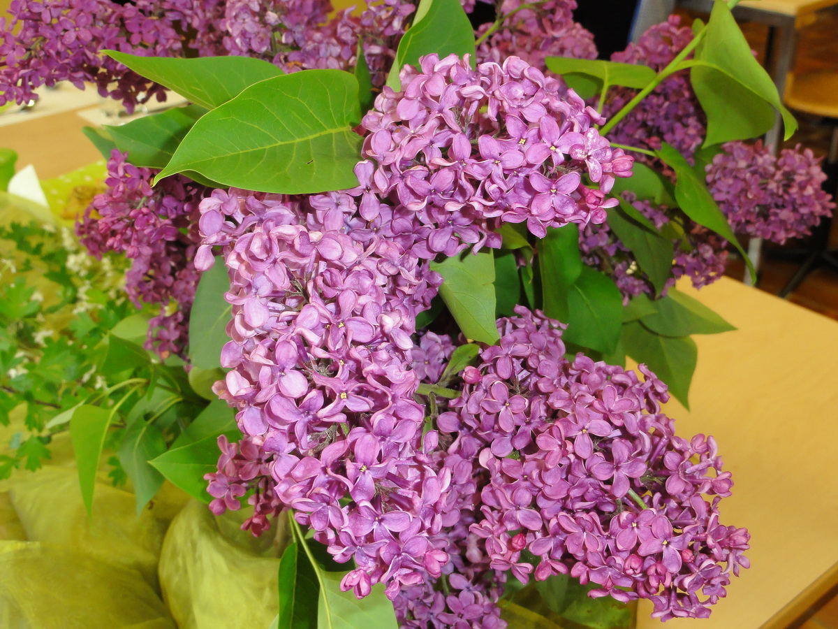 2012-05-09 19-01-49_Bild 0040