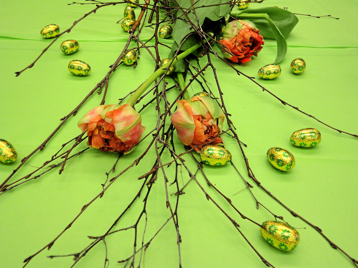 2013-03-06 19-27-42_Bild 0022