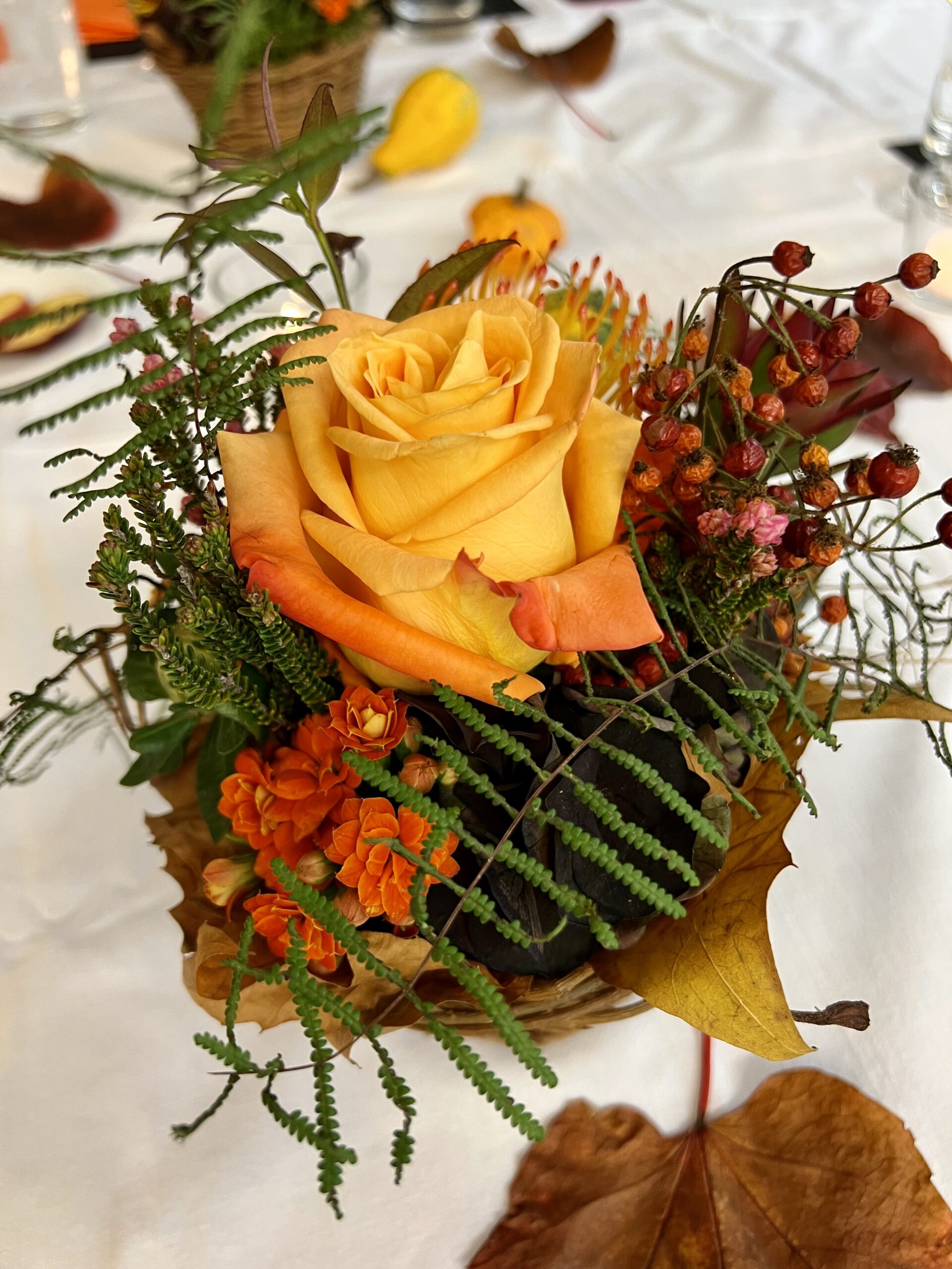 2022-11-02 19-50-25_Bild 0006