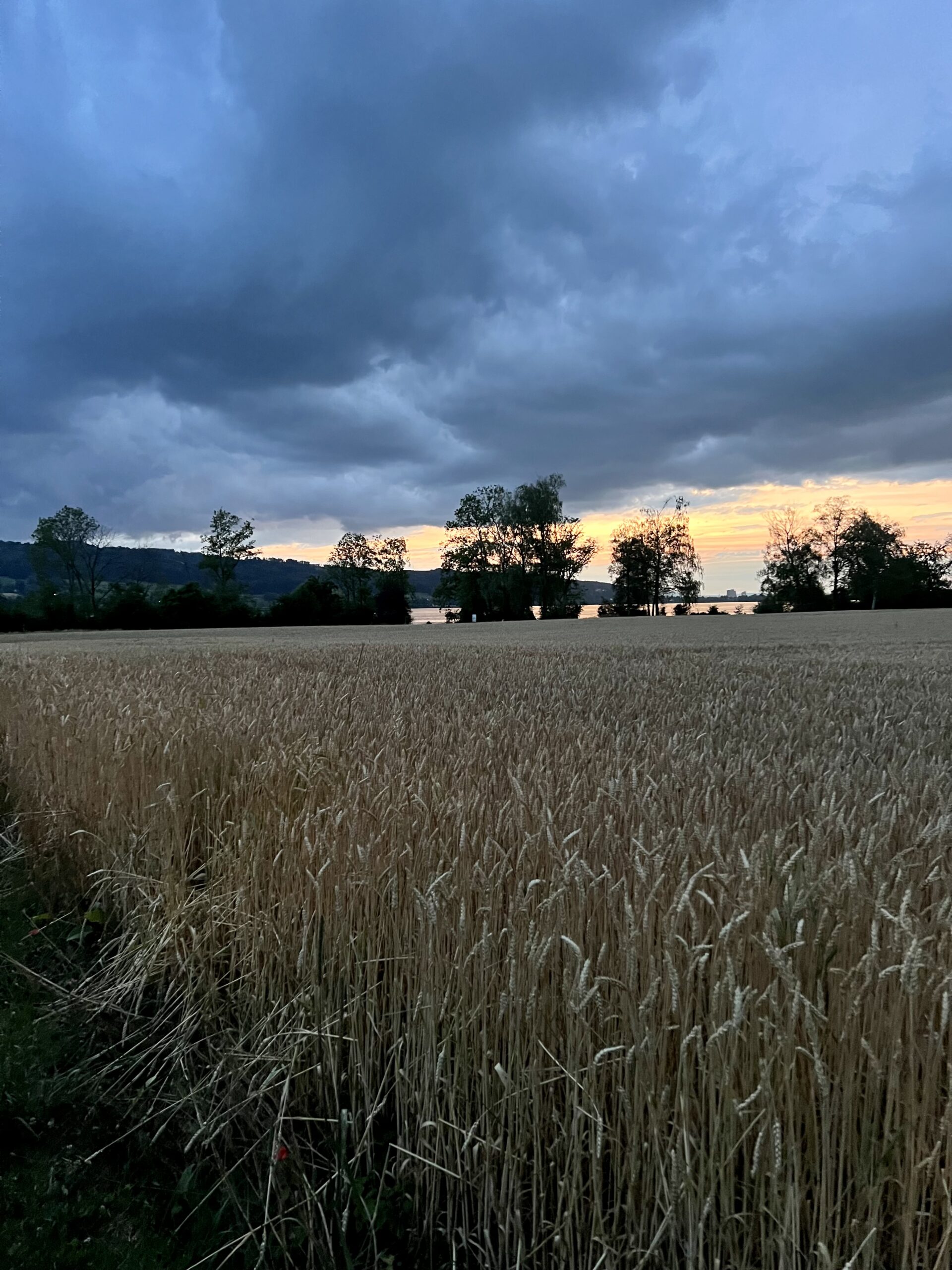 2023-07-05 21-46-45_Bild 0008